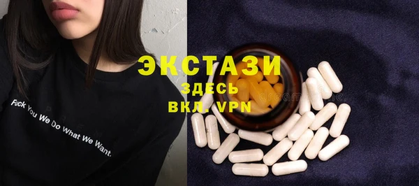 ECSTASY Богданович